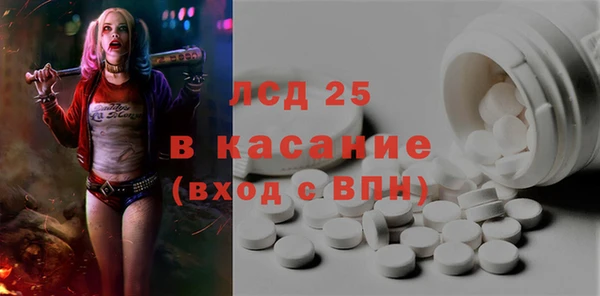 шишки Горнозаводск