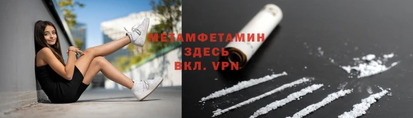 шишки Горнозаводск
