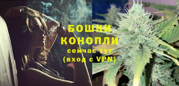 шишки Горнозаводск