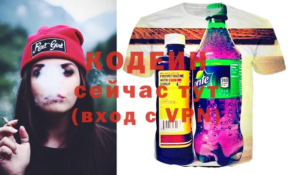 шишки Горнозаводск
