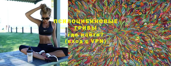 марки lsd Горняк