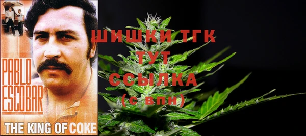 шишки Горнозаводск
