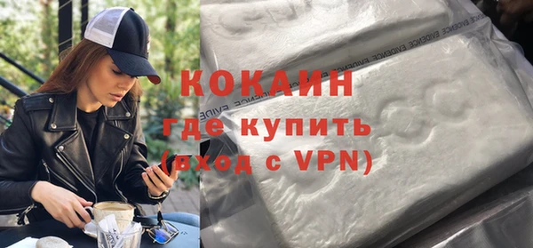 шишки Горнозаводск