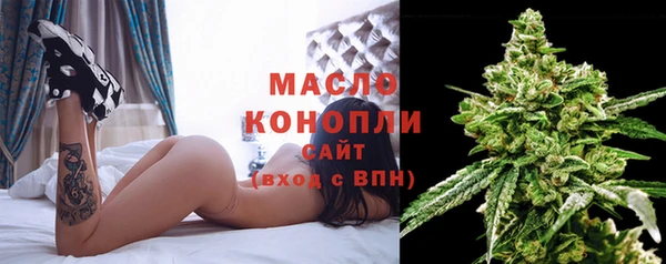 индика Бердск