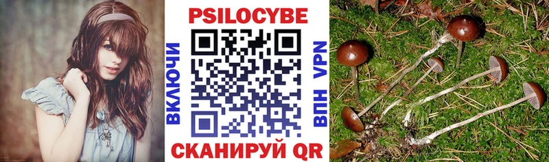 Псилоцибиновые грибы MAGIC MUSHROOMS  hydra ссылки  Жердевка 