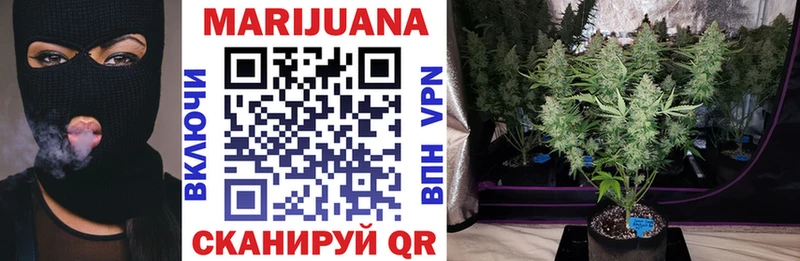 МАРИХУАНА SATIVA & INDICA  где найти   блэк спрут ТОР  Жердевка 
